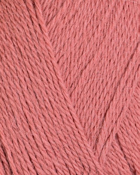 INCA - 606 Gammelrosa