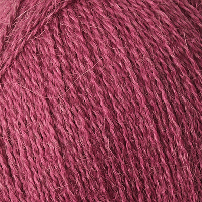 Alpaca 1 - 17